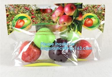 eco-friendly slider ziplock fruit bag with air holes for grape packaging bag, slider ziplock storage frozen bag with OEM