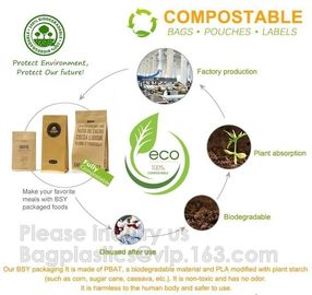 Biodegradale Compostable Packaging Roll Film Slide Zipper Garment Bag Food Packing Bag 3 side seal bag Kraft Paper Bag