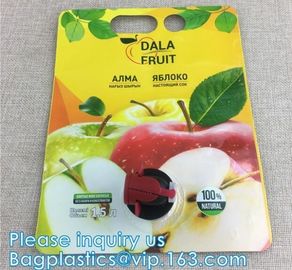 Spout Pouch Bag spout on top, spout in side, double zipper, handle, pothook, round corner juice pouch, coffee bag