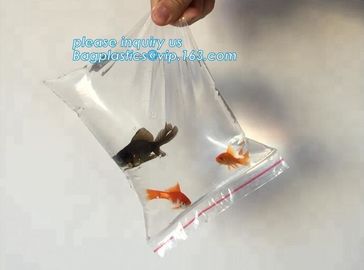 Resealable Print Ziplock Custom Printed Plastic Pill Pouch Medical Zip Lock Bags, reclosable pouch glossy stand upziploc