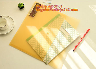 PP Polypropylene Plastic Office Stationery, PP Translucent plastic button document file folder bag with line structure