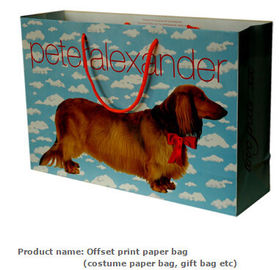 Brand costume bags, Brand clothes packing bags, Sports wear packing bags, Clothes shopping bags, Christmas gift bag, Car