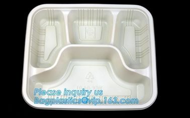 Personalized plastic food box sushi packaging tray,Food Use and Tray Type disposable plastic sushi tray,fast food tray,p