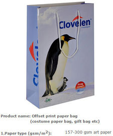 eco friendly tyvek paper shopping bag, smart shopping paper bag/die cut handle paper bag, Shopping Paper Bag, Biodegrad