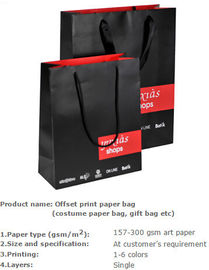 Nice Design Paper Shopping Bag , Recycle / Environmental Luxury Shopping Paper Bag , Raw Material Gift Kraft Paper