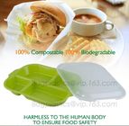 5 Compartment Lunch Box Disposable Plastic Food Container, biodegradable Fast Food Tray, disposable safety meat tray