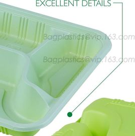 School use high quality biodegradable lunch plate for students, children plate with lid, Dishwasher Safe Shool Hospital