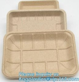 Plate Compostable Wheat Straw Fiber, Wheat Straw Dumpling Plate, Wheat straw eco plates customized wheat plate dishes an