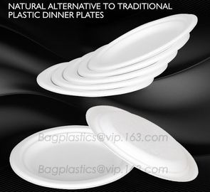 round pizza plate/Restaurant & hotel dinner plates made by bideogradable, Heat resistant round dinner plate