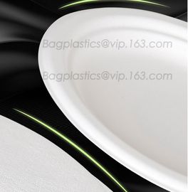 round pizza plate/Restaurant & hotel dinner plates made by bideogradable, Heat resistant round dinner plate