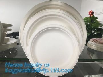 Compostable biodegradable dinner plate corn starch plate,Elegant Disposable Corn Starch Bio Plastic Dinner Plates bagpla