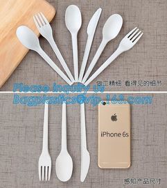 Food Grade Hottest Chinese Supplier Stocked Biodegradable Corn Starch Soup Spoon,biodegradable baby products cutlery wal