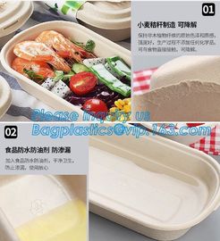 Biodegradable Microwave Bamboo Sugarcane Bagasse Food Container,Eco friendly disposable sugarcane food container with li