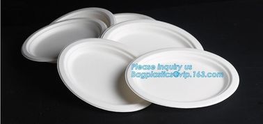 eco sugarcane pulp disposable biodegradable plate,Factory 100% Biodegradable Disposable Sugarcane Paper Raw Material Com