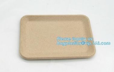 Biodegradable & Compostable 8 inchSquare sugarcane trays,sugarcane pulp compostable serving tray,lunch tray bagasse suga