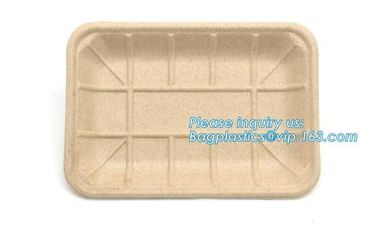 Biodegradable & Compostable 8 inchSquare sugarcane trays,sugarcane pulp compostable serving tray,lunch tray bagasse suga