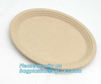 biodegradable tableware 5 compartment sugarcane tray,100% Biodegradable Disposable Sugarcane Paper Raw Material Composta