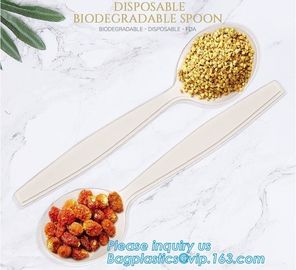 factory direct biodegradable corn starch 5 inch dessert spoon,food grade disposable biodegradable corn starch spoon pac