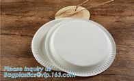 100% biodegradable and compostable sugarcane disposable paper plate 10"x8"oval plate,7 inch round disposable tableware s