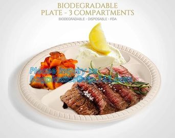 Eco Friendly Biodegradable Sugarcane Bagasse Plates Disposable,Sugarcane Bagasse Pulp Disposable Biodegradable Plate For