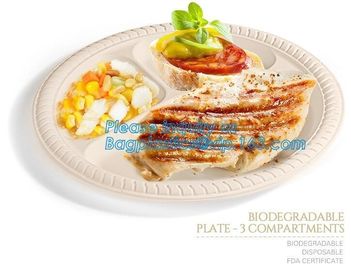 Eco Friendly Biodegradable Sugarcane Bagasse Plates Disposable,Sugarcane Bagasse Pulp Disposable Biodegradable Plate For