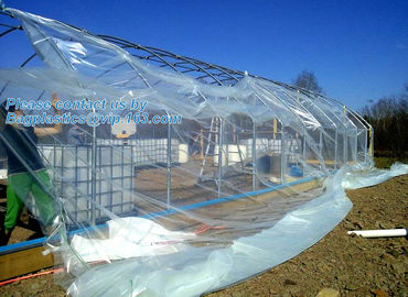 Agricultural PE Film, Agriculture Polyethylene, Film, mulch films, horticultural polyethylene film