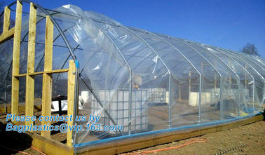 Agricultural PE Film, Agriculture Polyethylene, Film, mulch films, horticultural polyethylene film