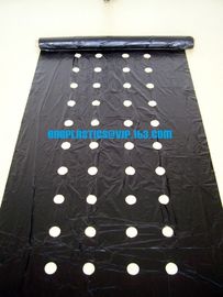 PE Mulching film, pe film, horticultural mulch film, garden perforated ground film, sheet, mulching films, agricultural