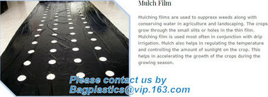 COEX LDPE Mulching film, pe film, horticultural mulch film, garden perforated ground film