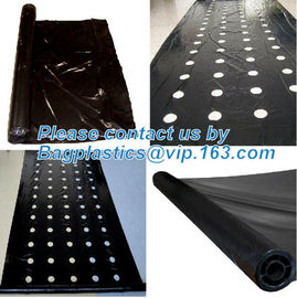 COEX LDPE Mulching film, pe film, horticultural mulch film, garden perforated ground film