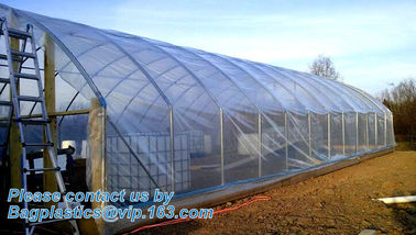 Agricultural PE Film, Agriculture Polyethylene, Film, mulch films, horticultural polyethylene film