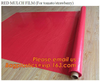 Good quality plastic mulch/Greenhouse packaging mulch jumbo rolling agriculture black plastic film