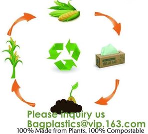 Home Compostable Eco Green Bioplastic Food Storage Resealable PLA Bags,Food, Gift, Household, Restaurant, Store, Grocery