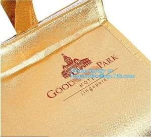 thermal insulation food distributed delivery Bag by scooter or motorcycle,office cooler lunch bags with bottle holder