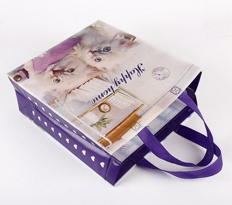 Custom Promotional shopping tote fabric polypropylene laminated pp non woven bag, Wholesale high promotion laminated rec