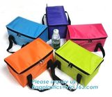 thermal cooler bags, food cooler bag, drink cooler bags, customization high quality exhibition non woven bags, cool bag