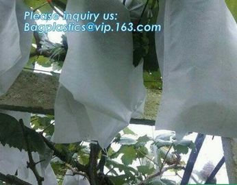 Pla Spunbond Nonwoven for Agricultue cover,Nonwoven Fabric, customized agriculture greenhouse ground weed barrier pp spu