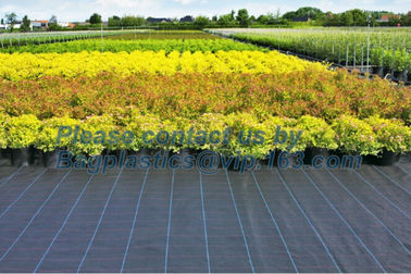 PP ground cover,weed barrier Fabrics, weed mat in strawberry garden, Agricultural weed control pp woven grass mat, 70gsm