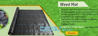 pp weed mat organic agricultural plastic mulch, recyclable weed barrier,PP ground mat /concert crowd control barrier wee