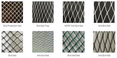 bird protection net, net trap,bird net,anti-bird net,mist net,pe tarpaulin,tarpaulin roll,shade net,mesh net,monoflament