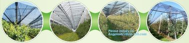 Anti Insect Net For Vegetable Supplier In China,Greenhouse Insect Net /garden netting for ventilation proof, bagease, pa