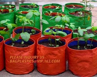 UV resistant PE potato growing bag garden planter bags with Flap and handles,Flap and Handles Collapsible 10 gallons