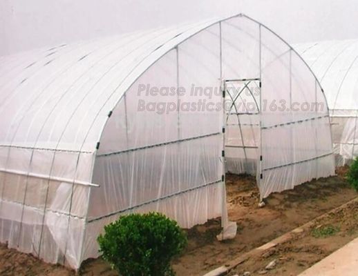 Garden Walk In 4 Shelves& Reinforced PE Cover green houses,Agriculture Farm Commercial Plastic PE Film Multi Spans Green