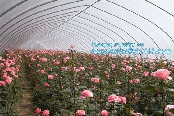 Net Garden Tomato Planting Greenhouse Outdoor Balcony Green House,Horticultural 200 Micron 3 Layer Plastic Film Green Ho