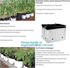 15 GALLON Hole Plastic LDPE Grow Bags For Nursery, Black & White PE Grow Bags for Hydroponic and Horticulture use, BAGEA