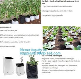 15 GALLON Hole Plastic LDPE Grow Bags For Nursery, Black & White PE Grow Bags for Hydroponic and Horticulture use, BAGEA