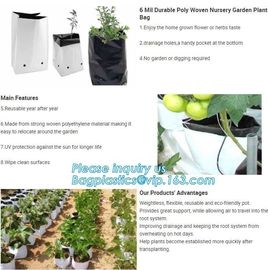 15 GALLON Hole Plastic LDPE Grow Bags For Nursery, Black & White PE Grow Bags for Hydroponic and Horticulture use, BAGEA