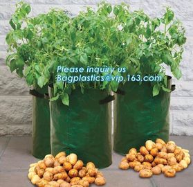 Nine pockets cheap vegetable grow planter bag,china manufacture riptop waterproof nursery bag,planting potato grow bag