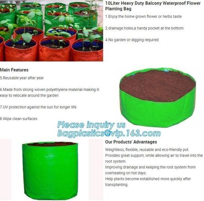 1 gal 2 gal 3gal 5gal 10gal black plastic grow planting greenhouse vegetable nursery bags,garden plant growing bag, bage