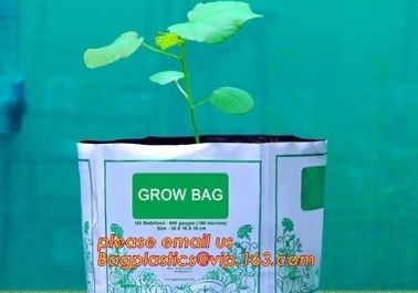 Effective UV Stabilized Black White Plastic Growing Bag / Polyethylene Jumbo Tree Planter Bag,Poly seedling bag 5 gallon